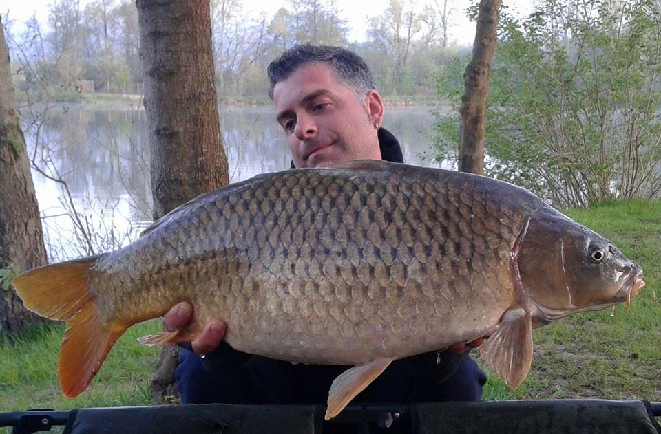 Carpfishing la modul meu 2015 - 195939576558375919465480304855577970897n.jpg